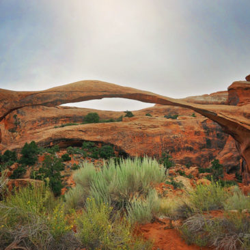 'Landscape Arch in Utah' by Photographer Debbi nelson. © Copyright 2016 Debbi Nelson dba Photograzia