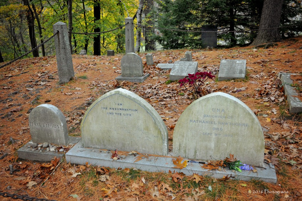 The Hawthorne Family Reunited in Concord, Massachusetts
